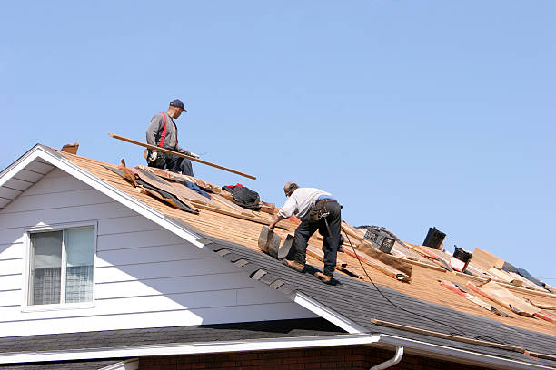 Roof Insulation in Pinconning, MI